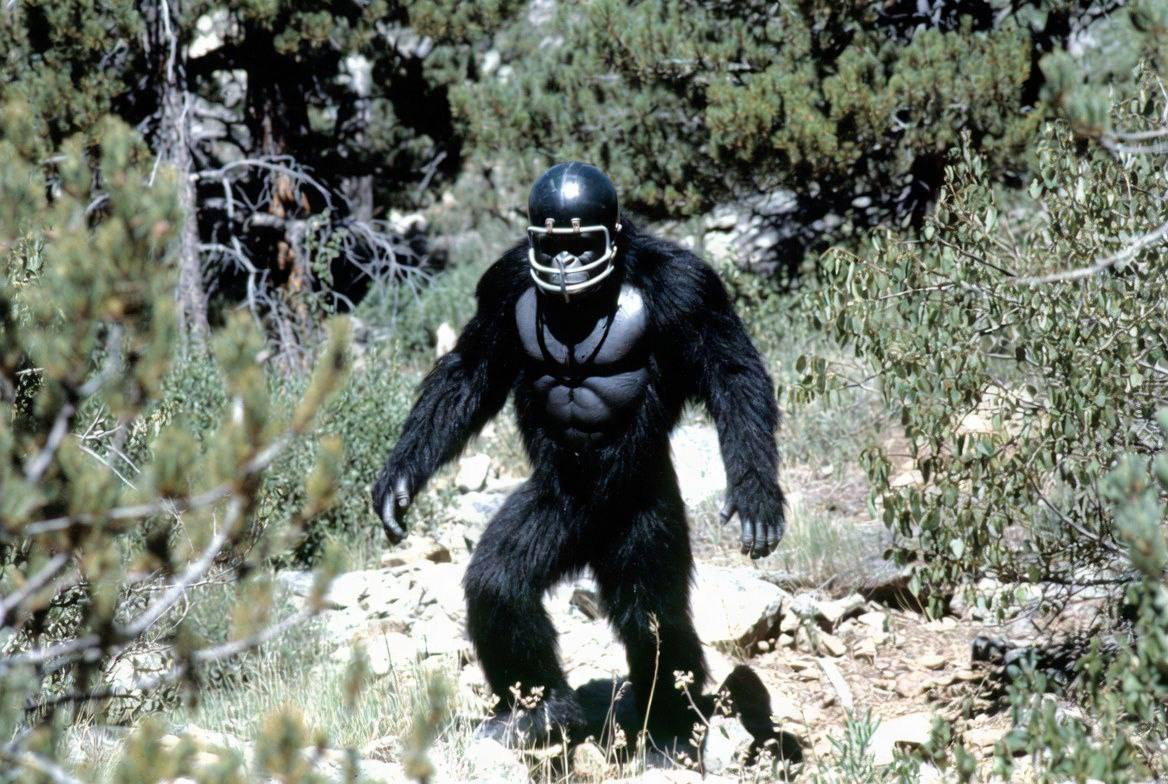 Sighting at MOJAVE · NV