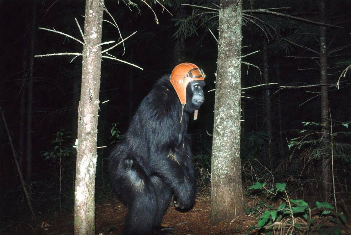 Sighting at PACIFIC NW · OR