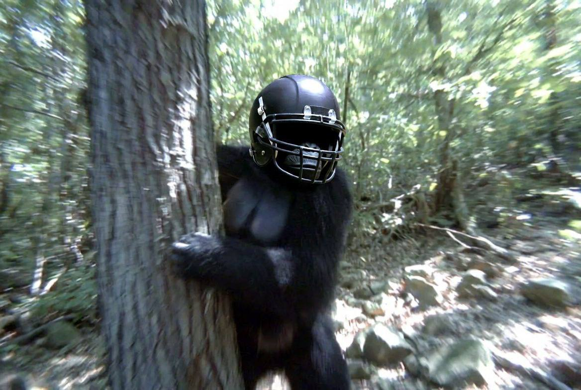 Sighting at REDWOOD · CA